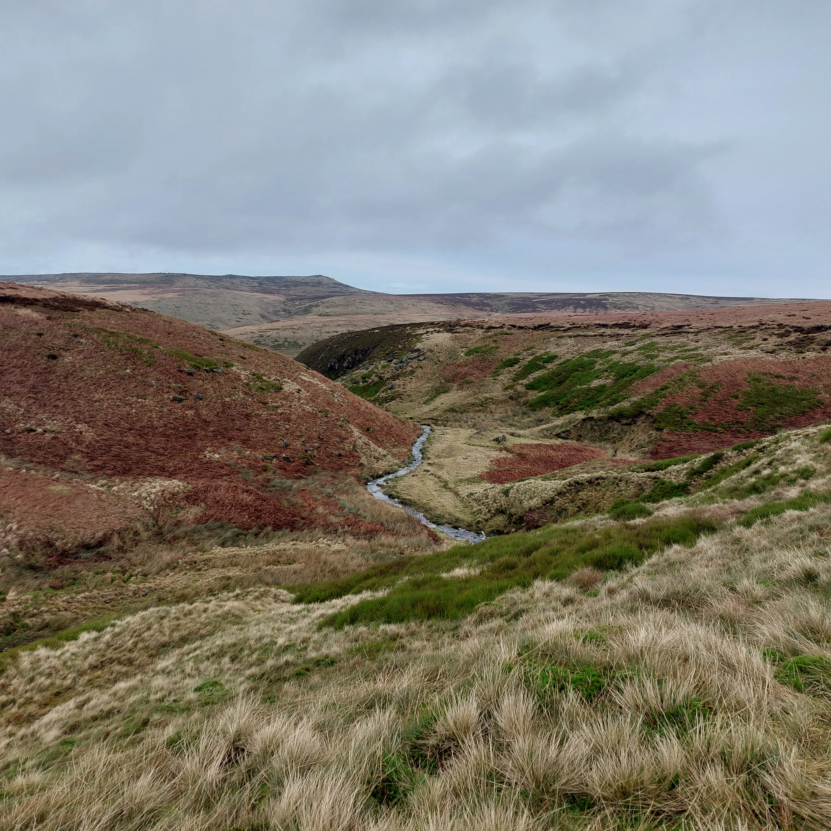 Riding Wood Reservoir, Holme Valley, in autumn